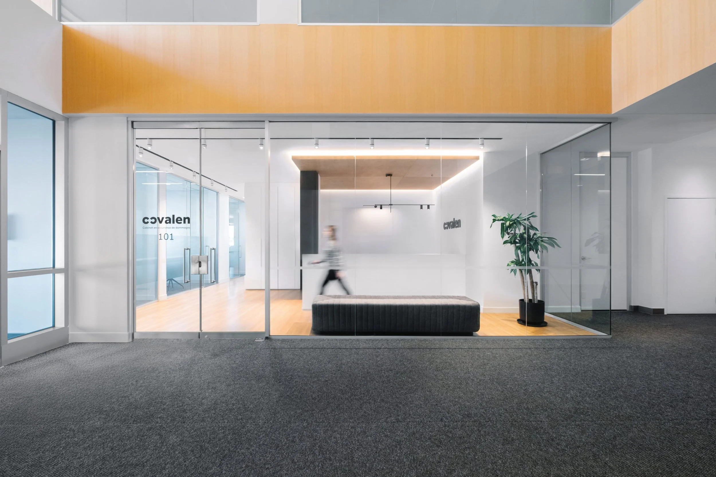 Studio projector, LED track light — Sistemalux